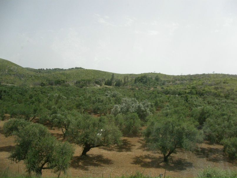 Олег Иванов | Санкт-Петербург