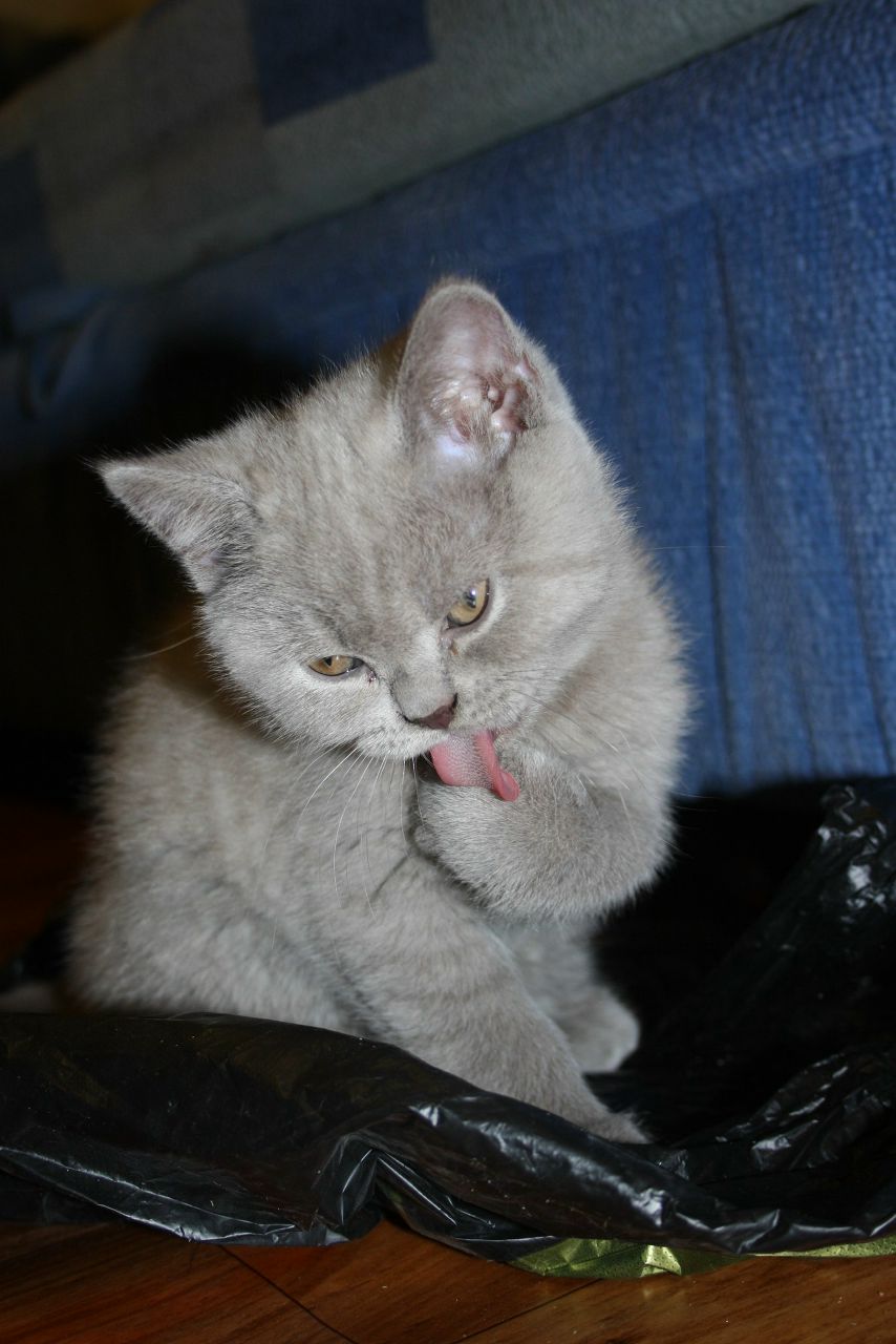 Александра Морозова | Кондопога