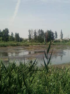 Андрей Шуляк | Киев