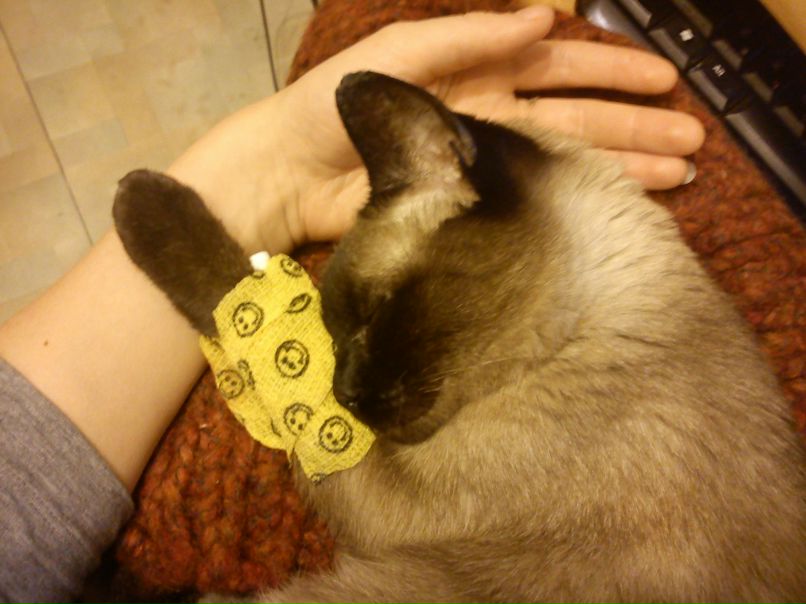 Фима Wireless | Санкт-Петербург