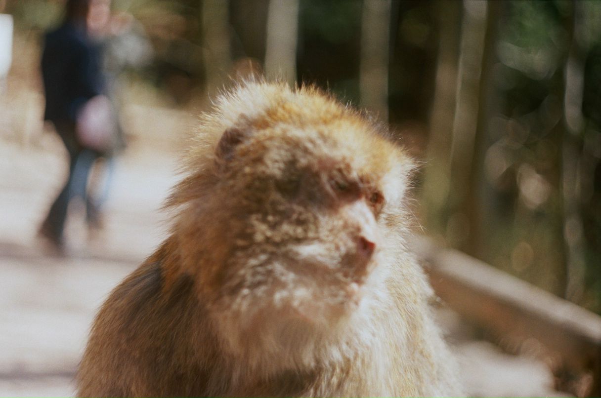 Станислав Андросов | Москва
