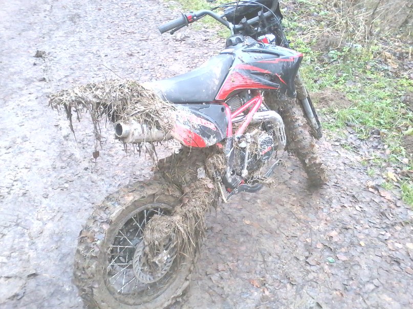 Эдуард Белевский | Москва