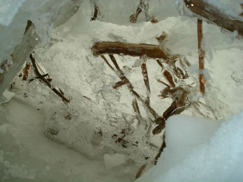 Артем Пелагин Сергеевич | Херсон