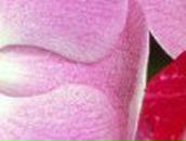 Дарья Самелюк | Киев