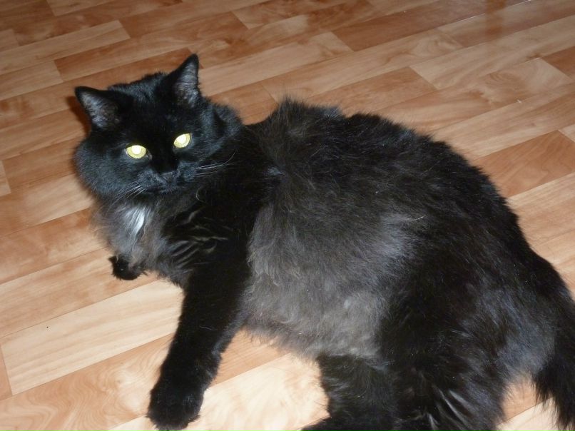 Карина Войтехович | Новосибирск