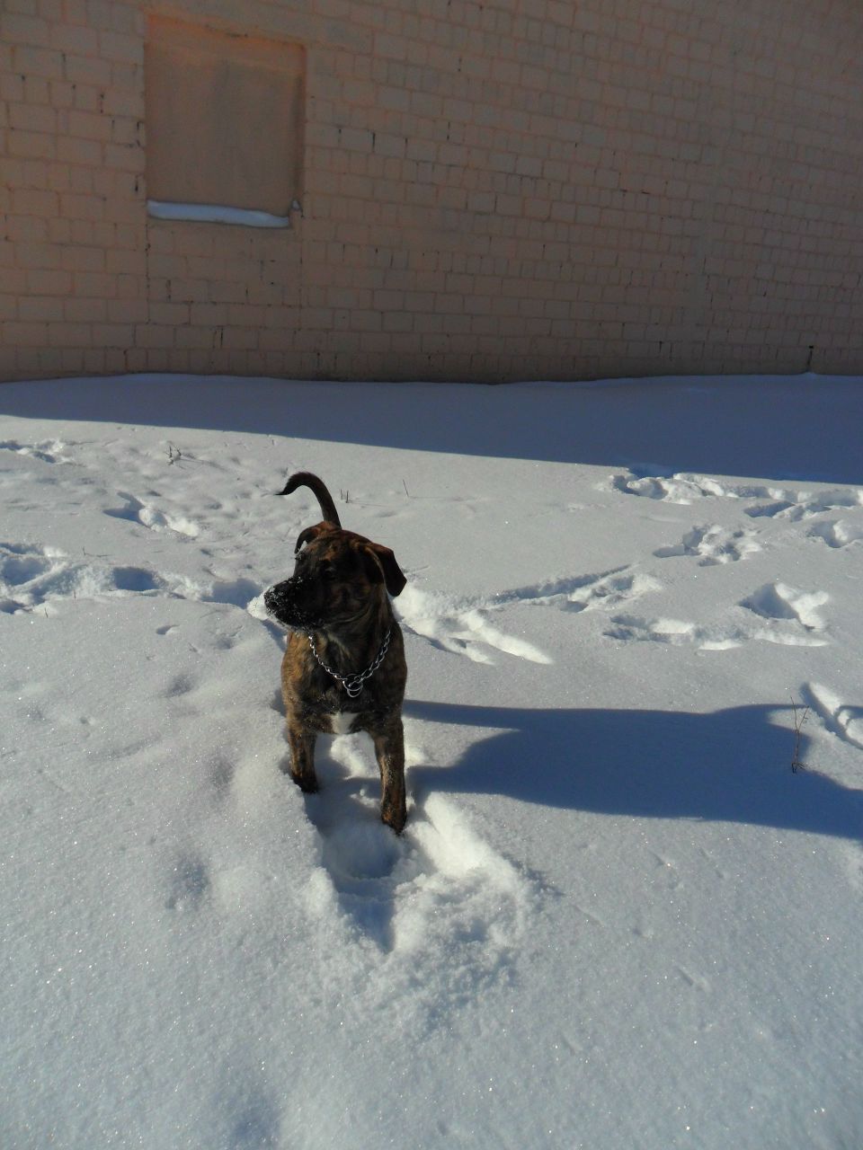 Александр Колодей 웃♥유 | Жлобин