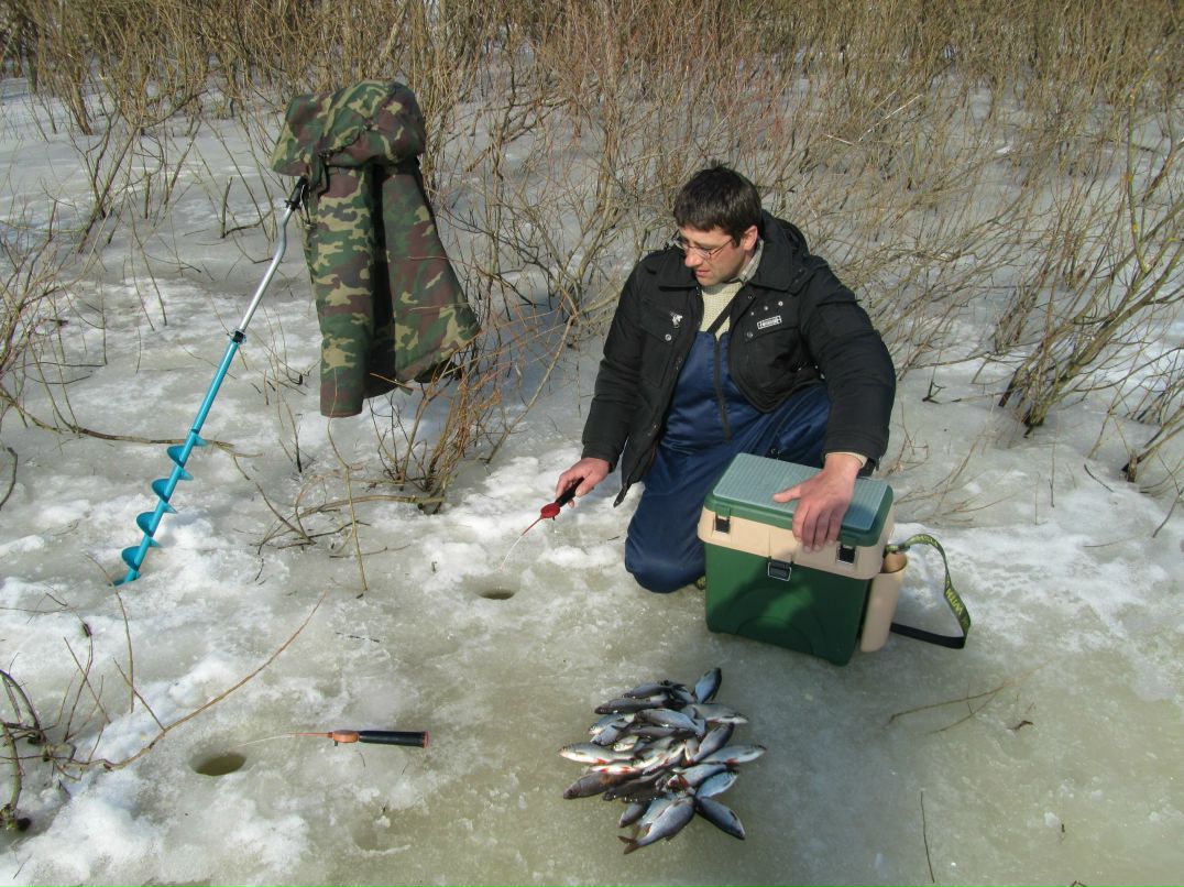 Алексей Хомутовский | Лельчицы