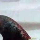 №23, Мила Алексеева, Алматы №23, Мила Алексеева, Алматы