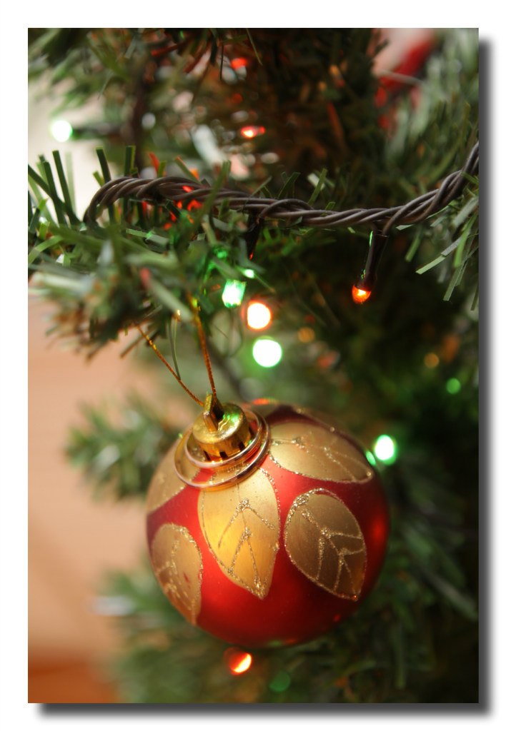 Олеся Доброславская ♥  Доброславская ФОТОГРАФ ♥ | Сыктывкар