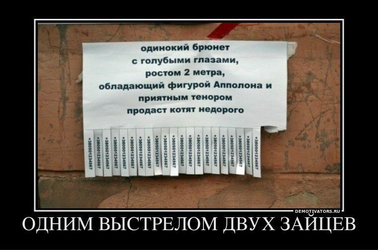 №67, Артем Валиев, 31 год №67, Артем Валиев, 31 год