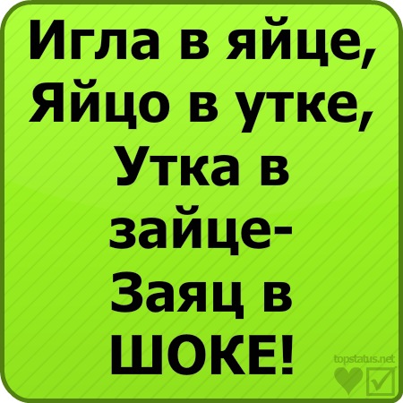 №13, Евгения Никитина №13, Евгения Никитина