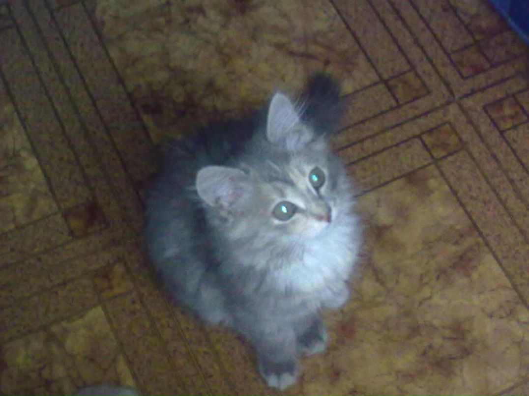 Инна Полфёрова | Фрязино