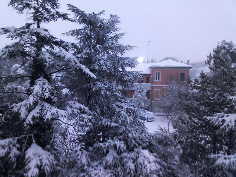 Виталий Ковалёв | Санкт-Петербург