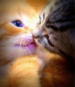 Ирина Лобанова | Кулой