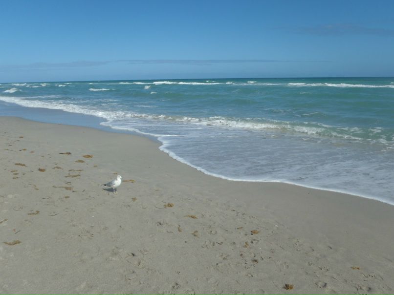 Марія Божагора | София