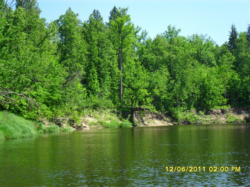 Sergei Shazamov | Нижний Новгород