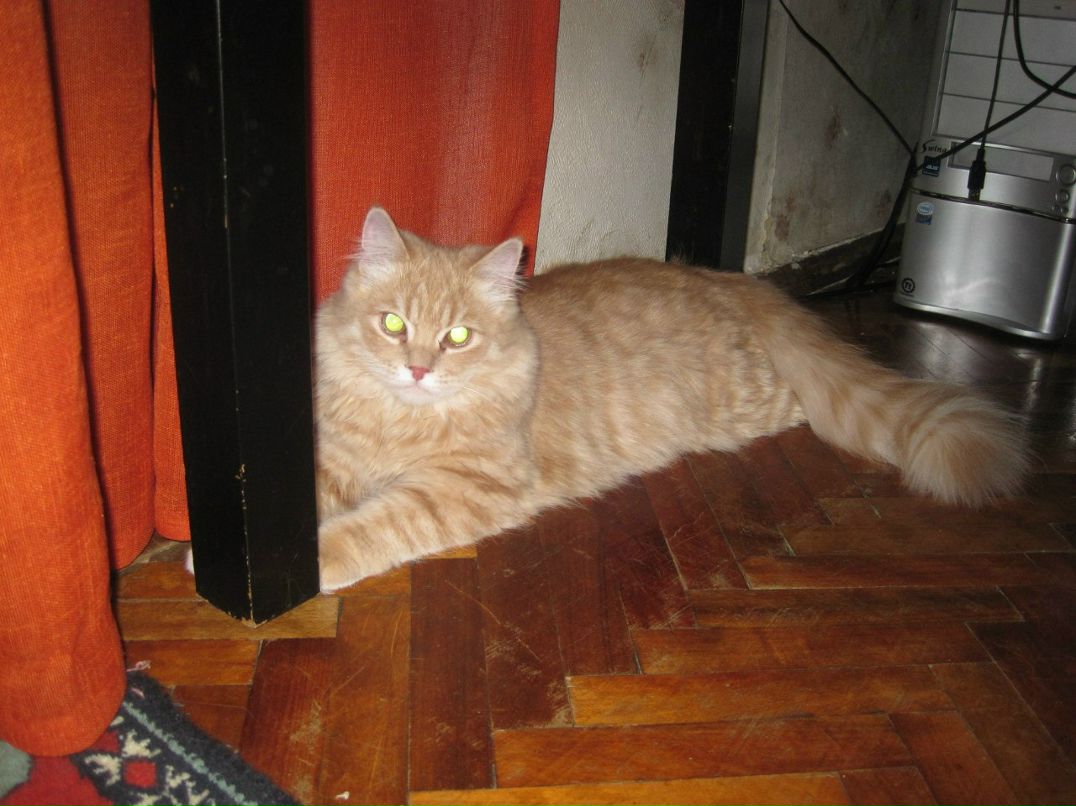 Катя Князева | Санкт-Петербург