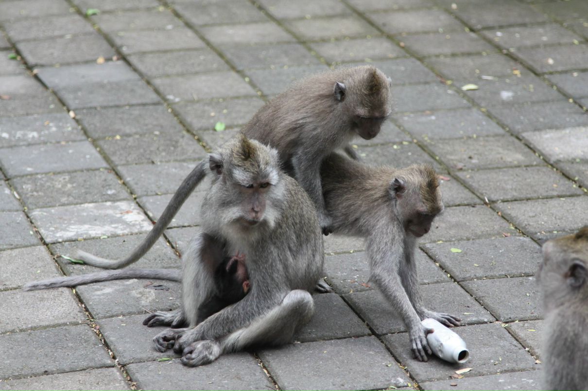 Любаша Солдатова | Москва