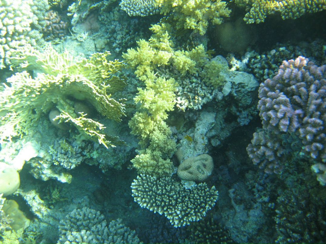 Надежда Кропачева | Киров