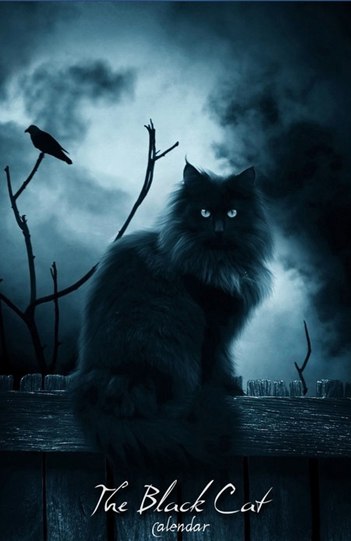 Моника Зеньковская | Люберцы