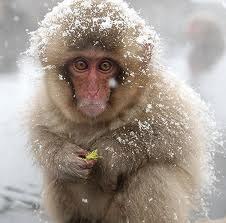 Даша Лисичкина | Москва