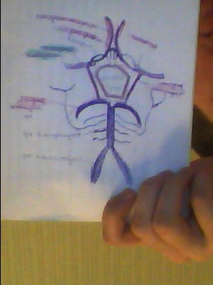 Ярослав Бараков | Калининград