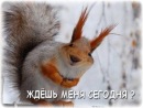Фотография Сивовой Светы