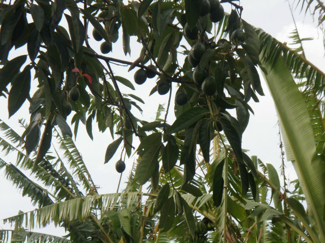 Вадим Иванов | 