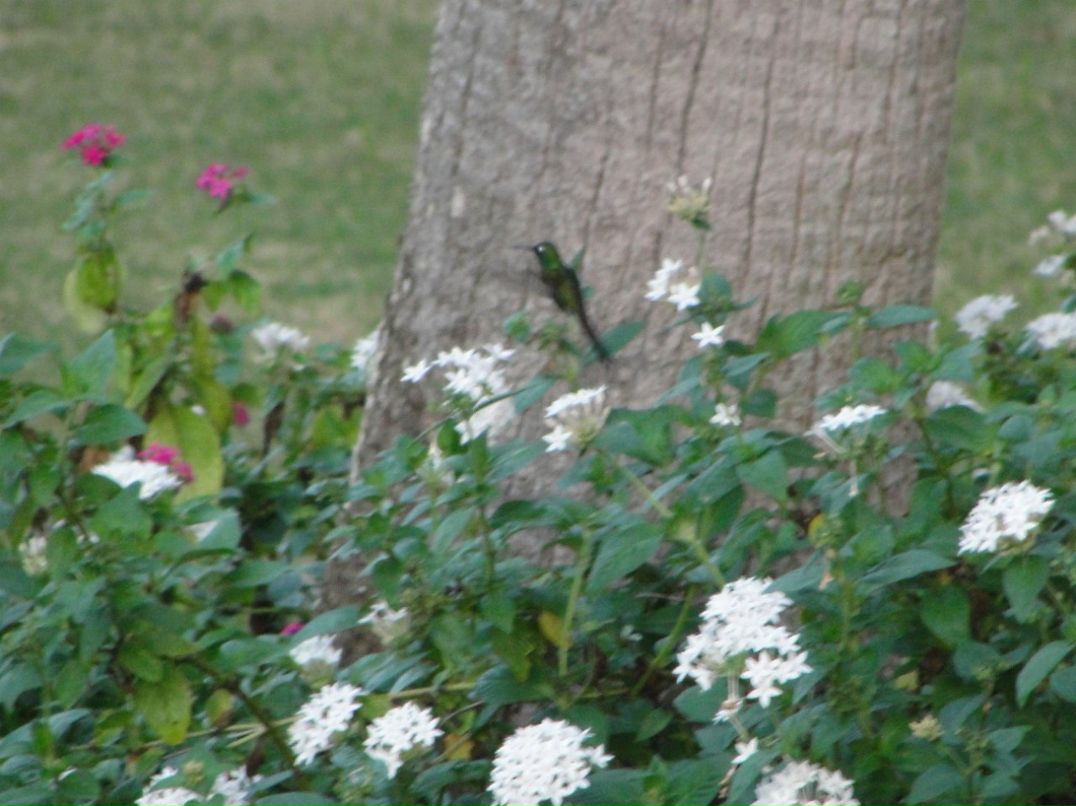 Юлия Юрьева | Казань