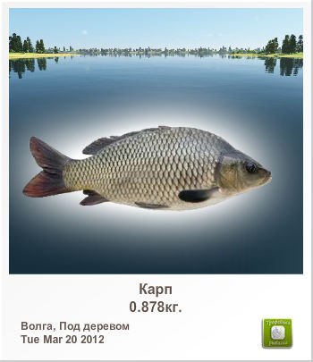 Андрій Чечель | Ивано-Франковск