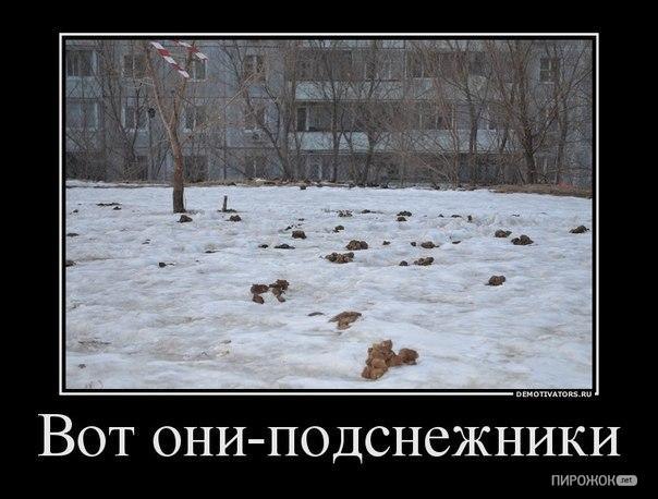 Александр Бакулин | Ромоданово