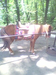 №6, Александр Карнаух №6, Александр Карнаух