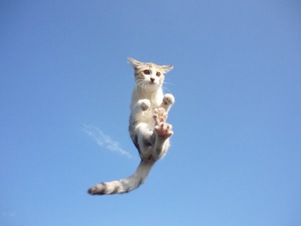 №84, Ирина Лебеденко, 38 лет, Киев №84, Ирина Лебеденко, 38 лет, Киев