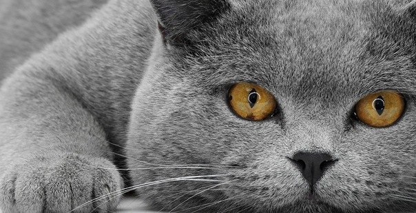 Наталья Филиппова | Липецк