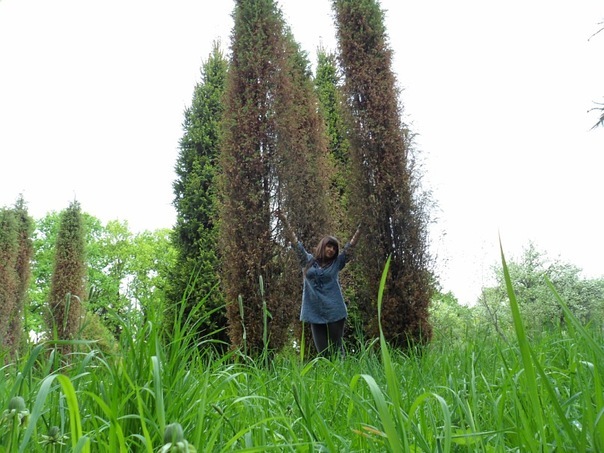 №115, Даша Лившиц, 36 лет, Минск №115, Даша Лившиц, 36 лет, Минск