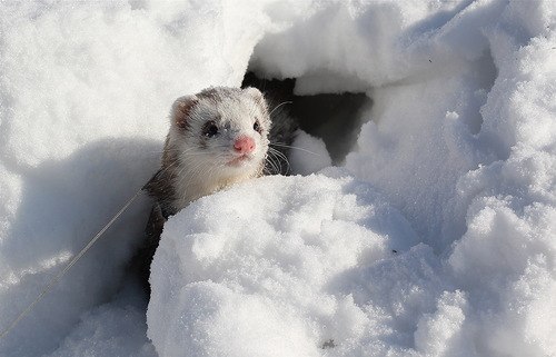 Ден Дымофф | Москва