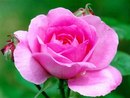 №27 Лариса Щербакова : профиль, фото, статус - ВКонтакте