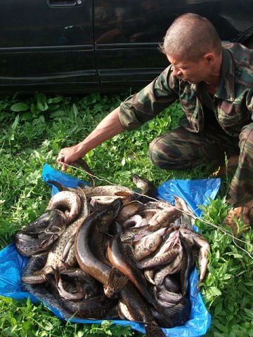 Лилия Щекина | 