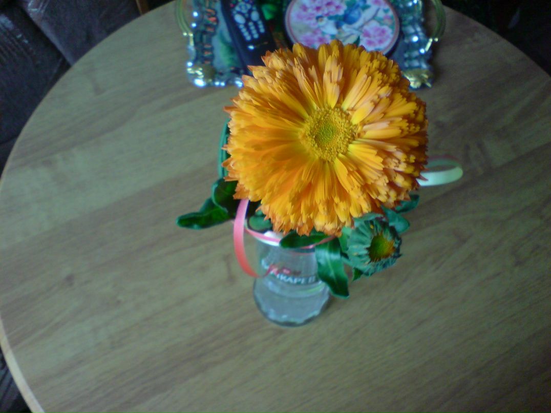 Серёга Посников Marlon Brando | Санкт-Петербург