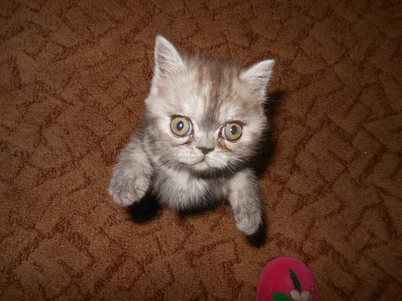 Кирилл Чередников | Москва