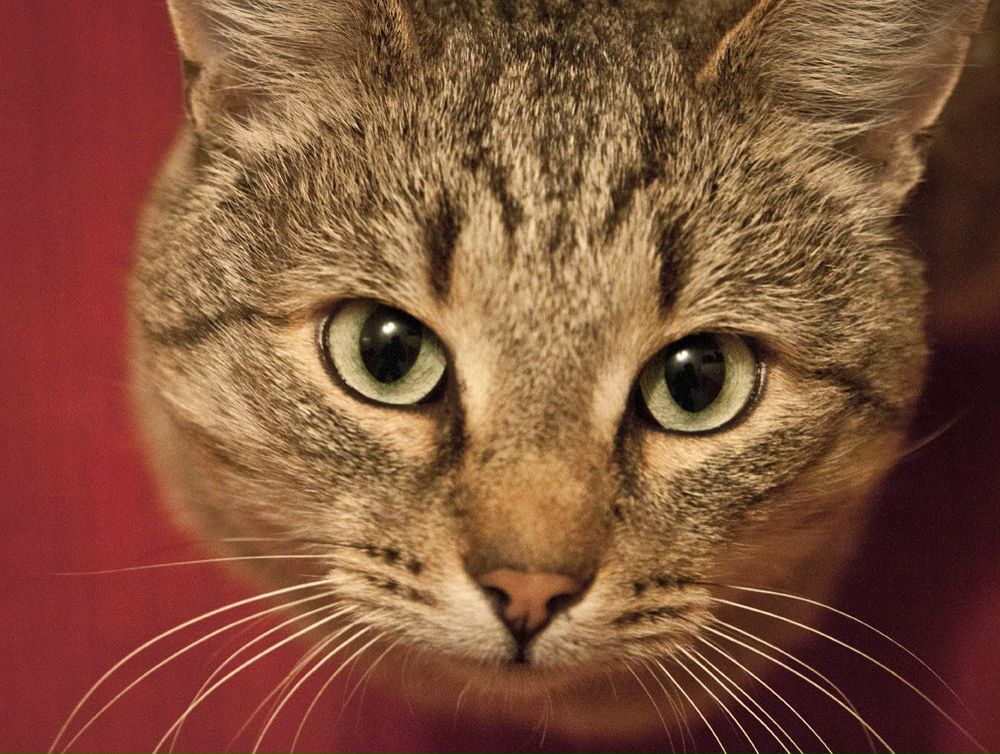 Dasha Sedaya | Гомель