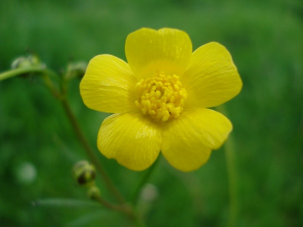 №25, Андрей Захар, Киев №25, Андрей Захар, Киев