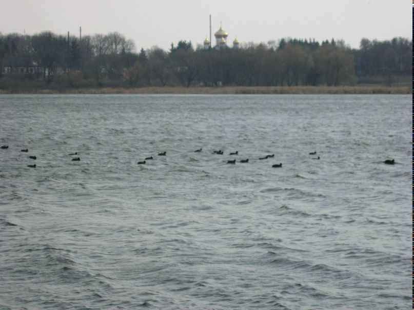 Вольдемар Матвийчук | Винница