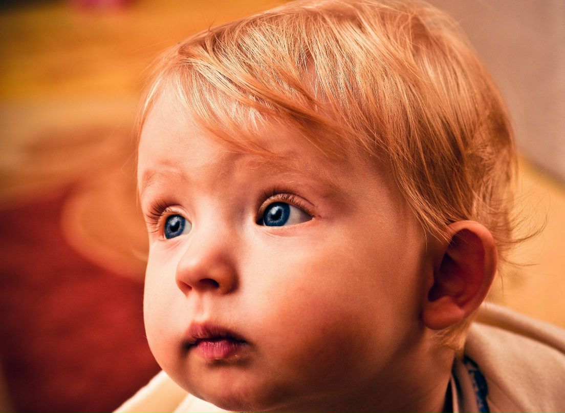 Андрій Косович | Тернополь