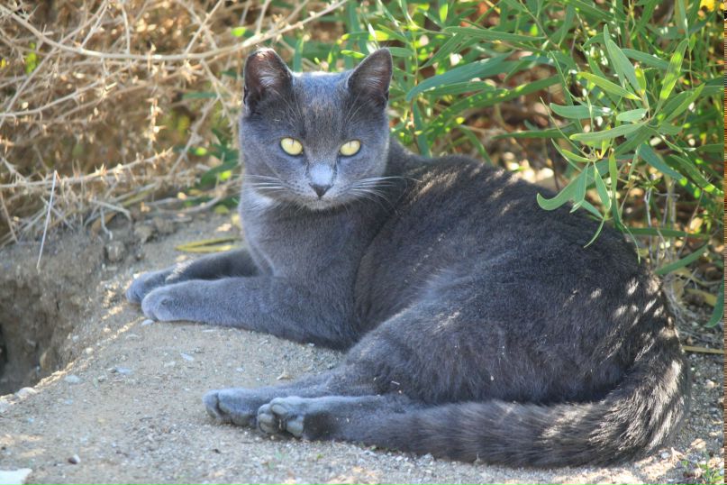 Евгений Толоконников | Москва