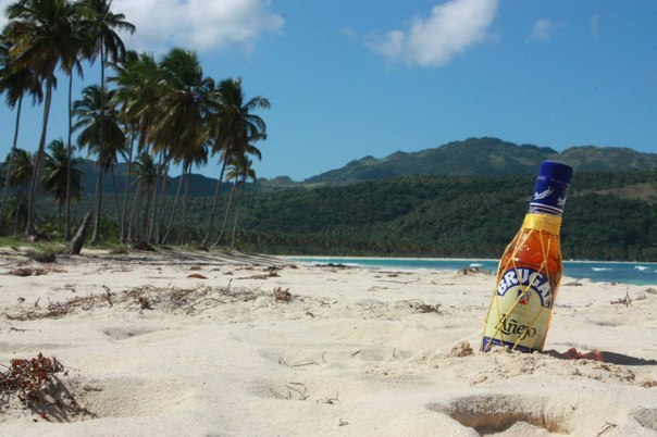 Николай Шмидт | Санкт-Петербург