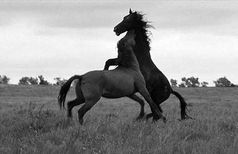 №80, Максим Анискин, 38 лет, Кривой Рог №80, Максим Анискин, 38 лет, Кривой Рог