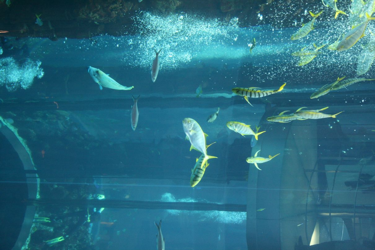 Денис Румянцев | Москва