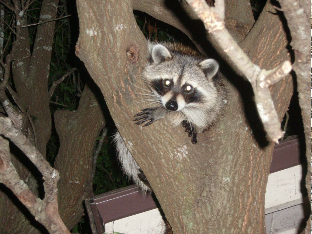 Дмитрий Ростягаев Rostik | Москва