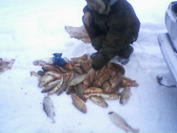 №104, Виталий Титов, 26.08, Кондопога №104, Виталий Титов, 26.08, Кондопога